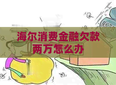 海尔消费金融欠款两万怎么办