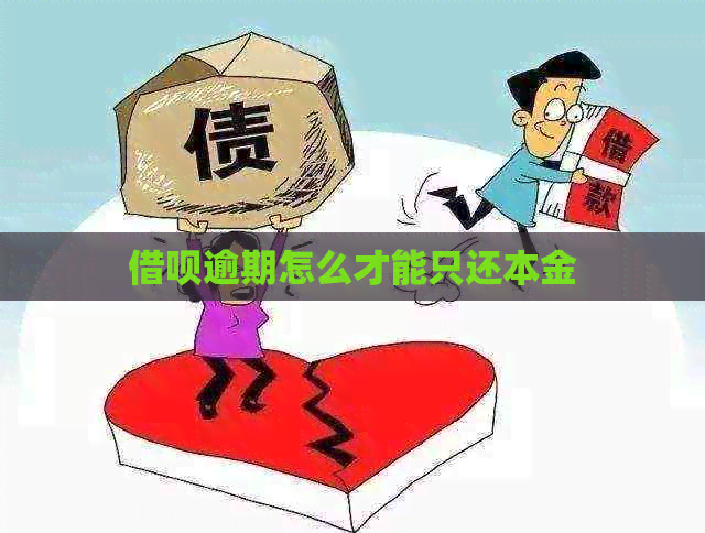 借呗逾期怎么才能只还本金