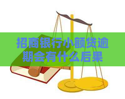 招商银行小额贷逾期会有什么后果