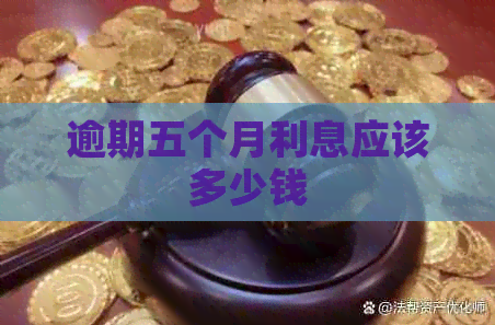 逾期五个月利息应该多少钱