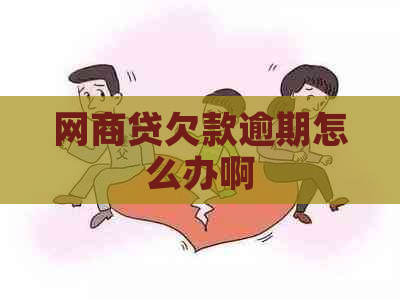 网商贷欠款逾期怎么办啊