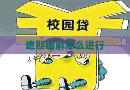 逾期调解怎么进行