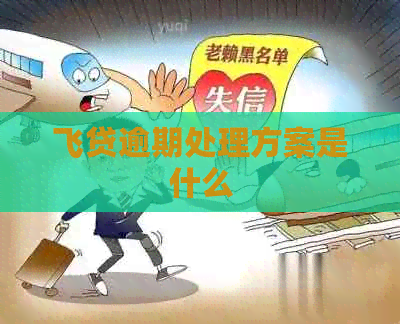 飞贷逾期处理方案是什么