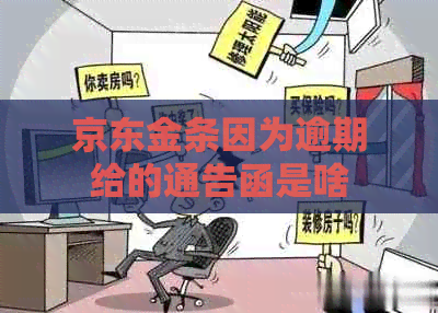 京东金条因为逾期给的通告函是啥