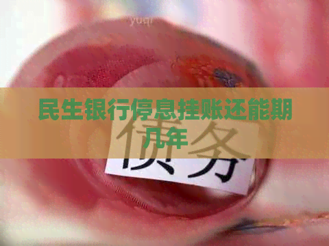 民生银行停息挂账还能期几年