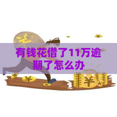 有钱花借了11万逾期了怎么办