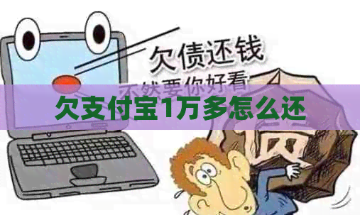 欠支付宝1万多怎么还