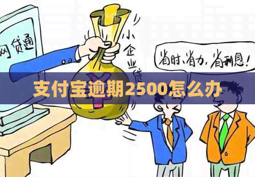 支付宝逾期2500怎么办