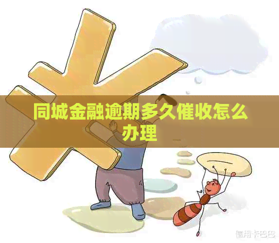 同城金融逾期多久怎么办理