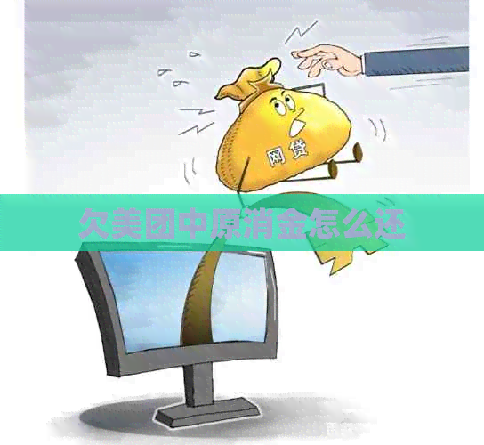 欠美团中原消金怎么还