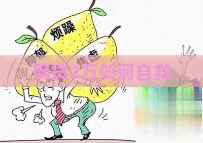 网贷2万如何自救