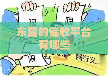 东营的平台有哪些