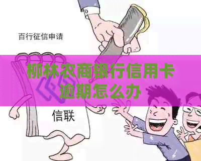 柳林农商银行信用卡逾期怎么办