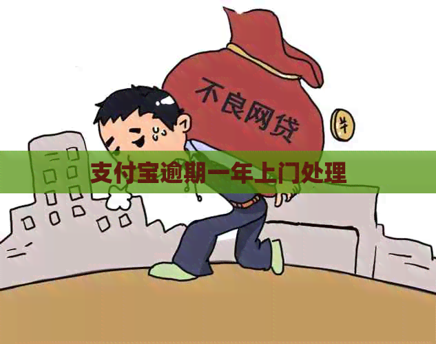 支付宝逾期一年上门处理