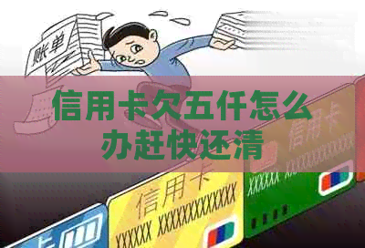 信用卡欠五仟怎么办赶快还清