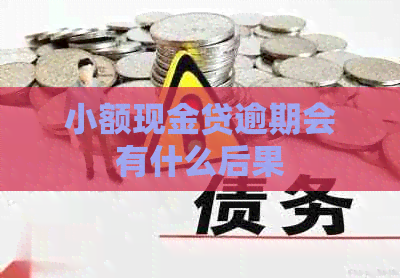 小额现金贷逾期会有什么后果