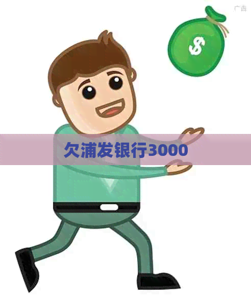 欠浦发银行3000