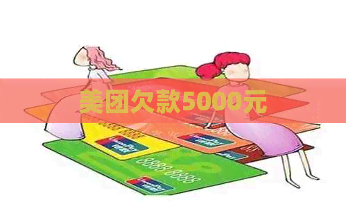 美团欠款5000元