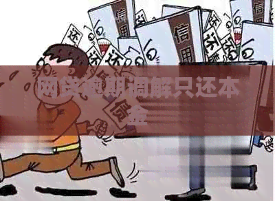 网贷逾期调解只还本金