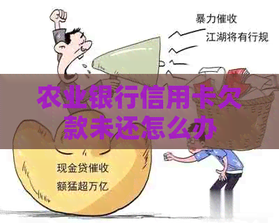 农业银行信用卡欠款未还怎么办