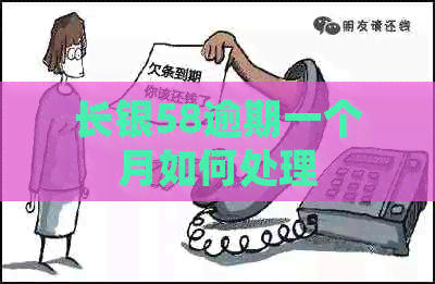 长银58逾期一个月如何处理