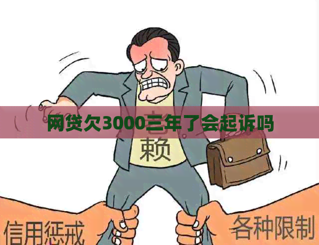 网贷欠3000三年了会起诉吗