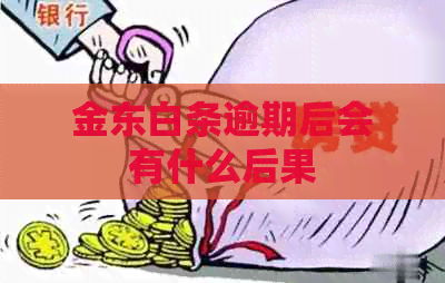 金东白条逾期后会有什么后果