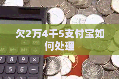 欠2万4千5支付宝如何处理