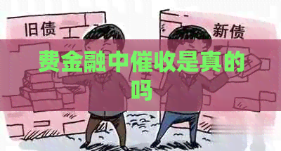 费金融中是真的吗