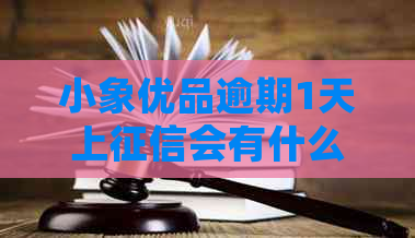 小象优品逾期1天上会有什么影响