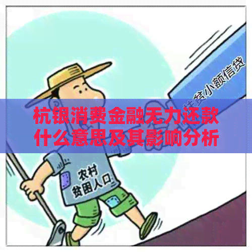 杭银消费金融无力还款什么意思及其影响分析