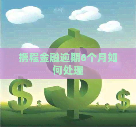 携程金融逾期6个月如何处理