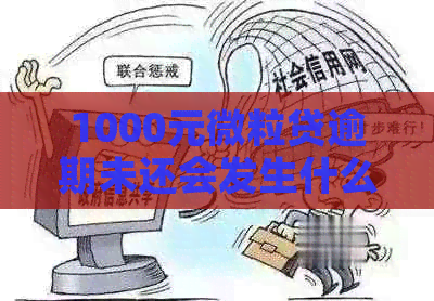 1000元微粒贷逾期未还会发生什么