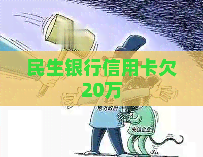 民生银行信用卡欠20万