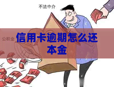 信用卡逾期怎么还本金