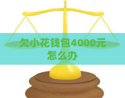 欠小花钱包4000元怎么办