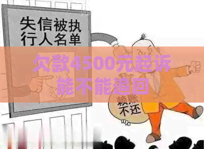 欠款4500元起诉能不能追回