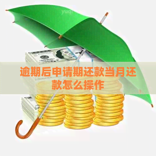 逾期后申请期还款当月还款怎么操作