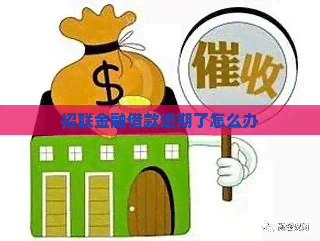 招联金融借款逾期了怎么办