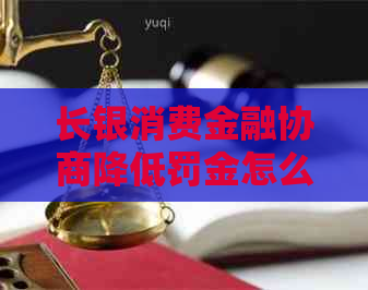 长银消费金融协商降低罚金怎么办