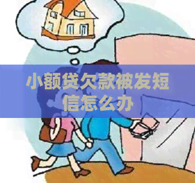 小额贷欠款被发短信怎么办