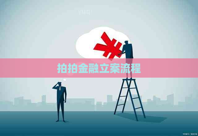 拍拍金融立案流程