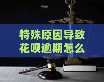 特殊原因导致花呗逾期怎么处理