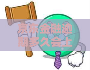 京东金融逾期多久会上诉需要注意什么