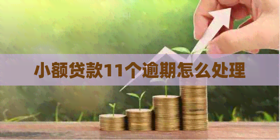 小额贷款11个逾期怎么处理