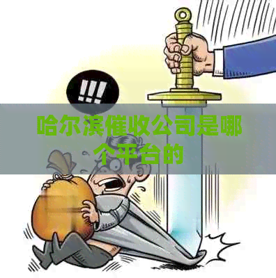 哈尔滨公司是哪个平台的