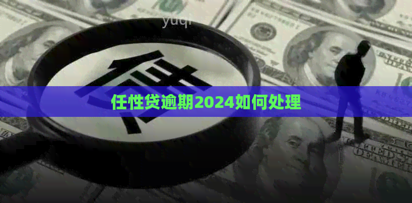 任性贷逾期2024如何处理