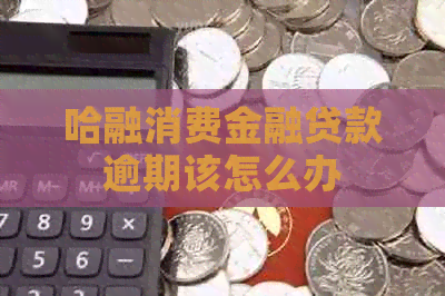 哈融消费金融贷款逾期该怎么办