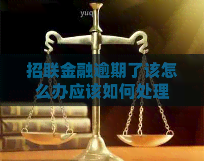 招联金融逾期了该怎么办应该如何处理