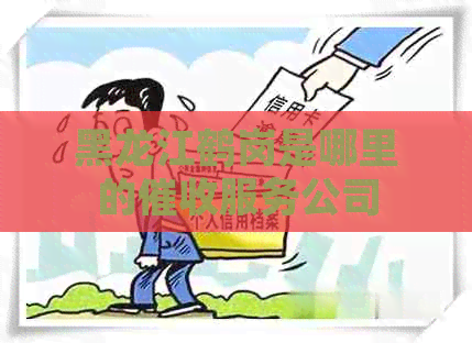 黑龙江鹤岗是哪里的服务公司